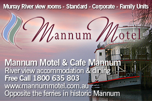 Mannum Motel logo