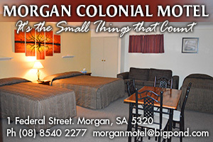 Morgan Colonial Motel logo
