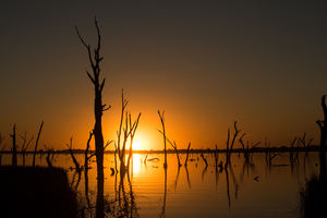 BIG4 NRMA Yarrawonga Mulwala Holiday Park  logo