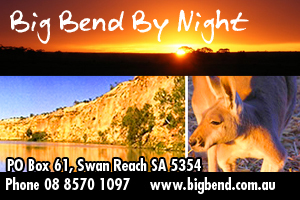 Big Bend By Night Eco Tours logo