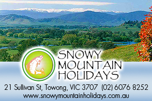 Snowy Mountain Holidays logo