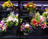 Waikerie & Districts Community Flower Show logo
