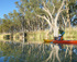 Guided Sunset Kayak Tour, Riverland South Australia logo