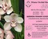 Riverland Orchid Society Winter Show logo