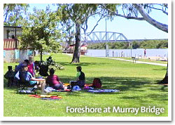 Families relaxing on the foreshore at Murray Bridge