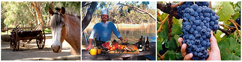 Swan hill food and attractions